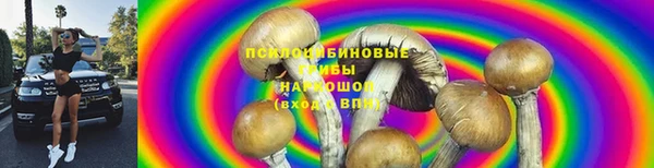ПСИЛОЦИБИНОВЫЕ ГРИБЫ Абинск