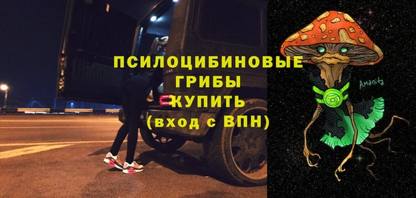 круглые Алзамай