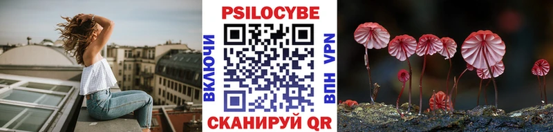 Псилоцибиновые грибы мицелий  где можно купить наркотик  блэк спрут ONION  Иланский 