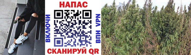 Бошки марихуана тримм Иланский